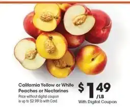 Kroger California Yellow or White Peaches or Nectarines offer