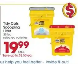 Giant Eagle Tidy Cats Scooping Litter offer