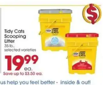 Giant Eagle Tidy Cats Scooping Litter offer