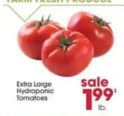 Giant Eagle Extra Large Hydroponic Tomatoes offer
