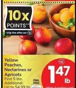 Albertsons Yellow Peaches, Nectarines or Apricots offer