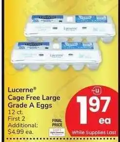 Albertsons Lucerne Cage Free Large Grade A Eggs - 12 ct offer