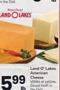 Albertsons Land O Lakes American Cheese - White or yellow, Sliced fresh in the Deli offer