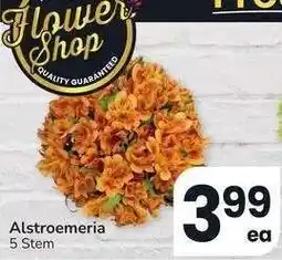 Albertsons Alstroemeria - 5 Stem offer