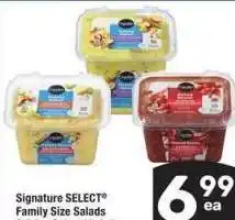 Albertsons Signature SELECT Family Size Salads - 2-3 lb., Select Varieties offer