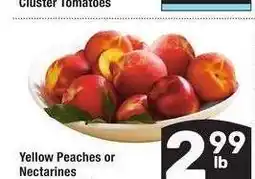 Albertsons Yellow Peaches or Nectarines - Sweet and Juicy offer