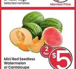 Albertsons Mini Red Seedless Watermelon or Cantaloupe - Member Price: $2.50 ea offer