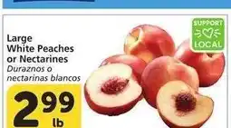 Albertsons Large White Peaches or Nectarines - Duraznos o nectarinas blancos offer