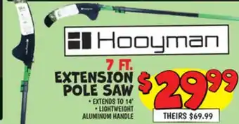Ollie's EXTENSION POLE SAW offer