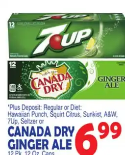 Bravo Supermarkets CANADA DRY GINGER ALE offer