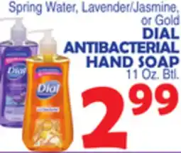 Bravo Supermarkets DIAL ANTIBACTERIAL HAND SOAP offer