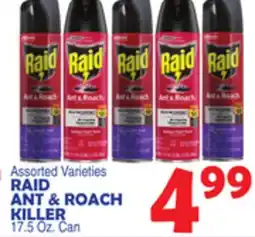 Bravo Supermarkets RAID ANT & ROACH KILLER offer
