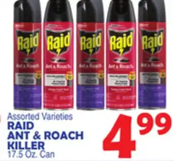 Bravo Supermarkets RAID ANT & ROACH KILLER offer