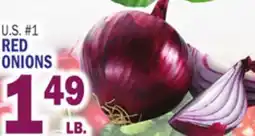 Bravo Supermarkets RED ONIONS offer