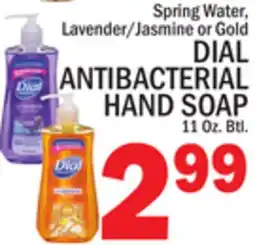 C Town DIAL ANTIBACTERIAL HAND SOAP offer