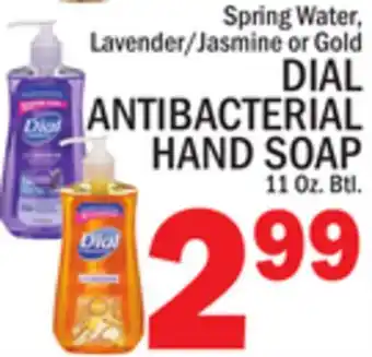 C Town DIAL ANTIBACTERIAL HAND SOAP offer