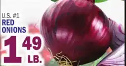 C Town RED ONIONS offer