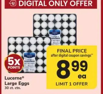 ACME Lucerne Large Eggs offer