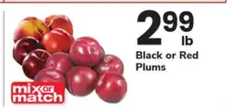 ACME Black or Red Plums offer