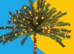 Boscov's Pre-Lit Palm Tree offer