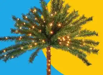 Boscov's Pre-Lit Palm Tree offer