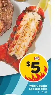 Weis Markets Wild Caught Lobster Tails offer