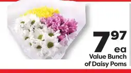 Weis Markets Value Bunch of Daisy Poms offer