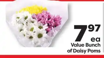 Weis Markets Value Bunch of Daisy Poms offer