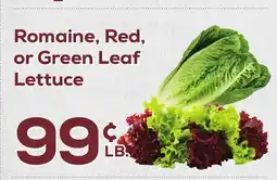 DeCicco & Sons Romaine, Red, or Green Leaf Lettuce offer