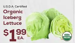 DeCicco & Sons Organic Iceberg Lettuce offer