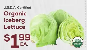 DeCicco & Sons Organic Iceberg Lettuce offer