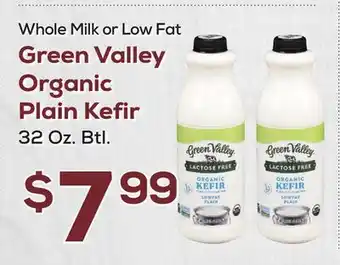DeCicco & Sons Green Valley Organic Plain Kefir offer