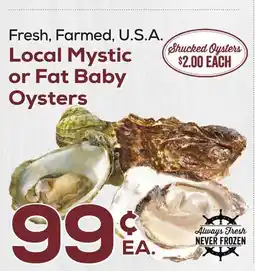DeCicco & Sons Local Mystic or Fat Baby Oysters offer