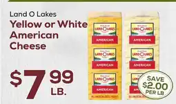 DeCicco & Sons Land O Lakes Yellow or White American Cheese offer