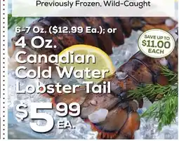 DeCicco & Sons 4 Oz. Canadian Cold Water Lobster Tail offer