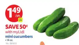 Lidl Mini Cucumbers offer