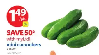Lidl Mini Cucumbers offer