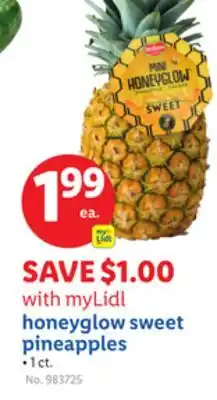 Lidl honeyglow sweet pineapples offer
