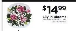 ShopRite Lily in Blooms offer