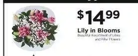 ShopRite Lily in Blooms offer