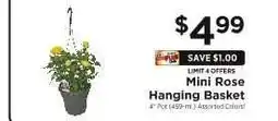 ShopRite Mini Rose Hanging Basket offer