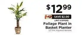 ShopRite Foliage Plant in Basket Planter offer