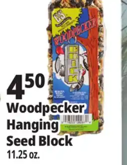 Ocean State Job Lot Hanging Seed Block offer
