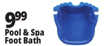 Ocean State Job Lot Pool & Spa Foot Bath offer