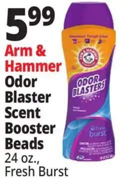 Ocean State Job Lot Arm & Hammer Odor Blaster Scent Booster Beads offer