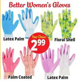 Ocean State Job Lot Better Women's Gloves offer