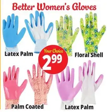 Ocean State Job Lot Better Women's Gloves offer