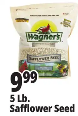 Ocean State Job Lot 5 Lb. Safflower Seed offer