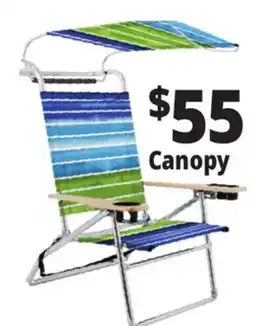 Ocean State Job Lot Canopy offer