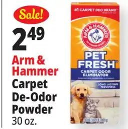 Ocean State Job Lot Carpet De-Odor Powder offer
